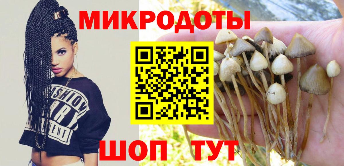Клин  хочу   Вход с VPN  Галлюциногенные грибы Magic Shrooms 