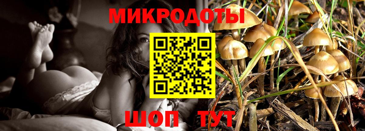 Галлюциногенные грибы GOLDEN TEACHER Клин